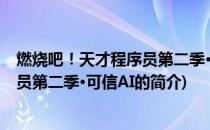 燃烧吧！天才程序员第二季·可信AI(关于燃烧吧！天才程序员第二季·可信AI的简介)