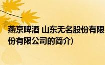 燕京啤酒 山东无名股份有限公司(关于燕京啤酒 山东无名股份有限公司的简介)