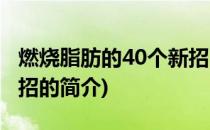 燃烧脂肪的40个新招(关于燃烧脂肪的40个新招的简介)