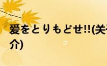 爱をとりもどせ!!(关于爱をとりもどせ!!的简介)