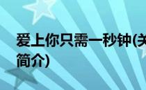 爱上你只需一秒钟(关于爱上你只需一秒钟的简介)