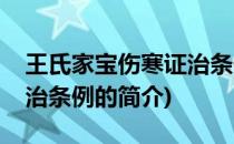 王氏家宝伤寒证治条例(关于王氏家宝伤寒证治条例的简介)