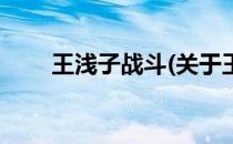 王浅子战斗(关于王浅子战斗的简介)