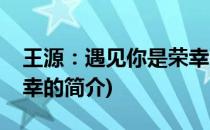 王源：遇见你是荣幸(关于王源：遇见你是荣幸的简介)