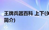 王牌兵器百科 上下(关于王牌兵器百科 上下的简介)