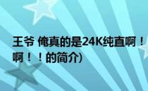 王爷 俺真的是24K纯直啊！！(关于王爷 俺真的是24K纯直啊！！的简介)