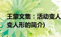 王蒙文集：活动变人形(关于王蒙文集：活动变人形的简介)