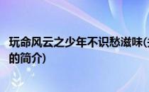 玩命风云之少年不识愁滋味(关于玩命风云之少年不识愁滋味的简介)