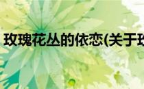 玫瑰花丛的依恋(关于玫瑰花丛的依恋的简介)