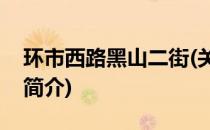 环市西路黑山二街(关于环市西路黑山二街的简介)