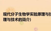 现代分子生物学实验原理与技术(关于现代分子生物学实验原理与技术的简介)