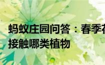 蚂蚁庄园问答：春季花粉过敏人群需尽量避免接触哪类植物