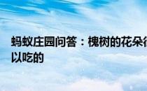 蚂蚁庄园问答：槐树的花朵很漂亮那么哪种槐树的花朵是可以吃的