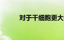 对于干细胞更大并不意味着更好