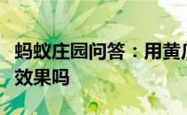 蚂蚁庄园问答：用黄瓜片敷脸可以达到美白的效果吗