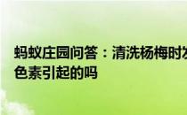 蚂蚁庄园问答：清洗杨梅时发现杨梅掉色这一定是添加人工色素引起的吗