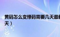 黄码怎么变绿码需要几天最新规定（黄码怎么变绿码需要几天）