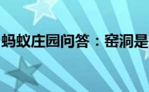 蚂蚁庄园问答：窑洞是黄土高原的传统民居吗