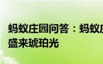 蚂蚁庄园问答：蚂蚁庄园兰陵美酒郁金香玉碗盛来琥珀光