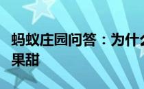 蚂蚁庄园问答：为什么红心火龙果比白心火龙果甜