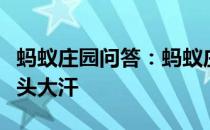 蚂蚁庄园问答：蚂蚁庄园今日答案一吃辣就满头大汗