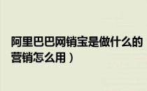 阿里巴巴网销宝是做什么的（阿里巴巴网销宝在哪里？数字营销怎么用）