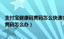 支付宝健康码黄码怎么快速变绿码（健康码莫名其妙的变成黄码怎么办）