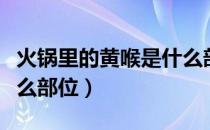 火锅里的黄喉是什么部位（火锅里的黄喉是什么部位）