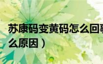 苏康码变黄码怎么回事最新（苏康码变黄码什么原因）