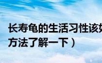 长寿龟的生活习性该如何饲养（长寿龟的饲养方法了解一下）