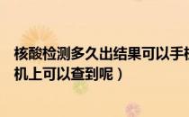 核酸检测多久出结果可以手机查询（核酸检测多久出结果手机上可以查到呢）