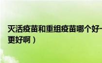 灭活疫苗和重组疫苗哪个好一点（灭活疫苗和重组疫苗哪个更好啊）