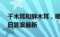 干木耳和鲜木耳，哪个健康 蚂蚁庄园4月19日答案最新