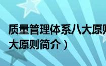 质量管理体系八大原则核心（质量管理体系八大原则简介）