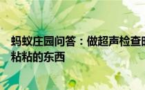 蚂蚁庄园问答：做超声检查时医生为什么要在患者肚子上涂粘粘的东西