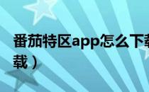 番茄特区app怎么下载（番茄社区app怎么下载）