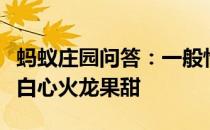 蚂蚁庄园问答：一般情况下为何红心火龙果比白心火龙果甜