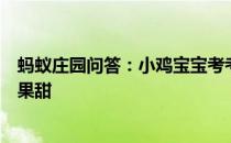 蚂蚁庄园问答：小鸡宝宝考考你为何红心火龙果比白心火龙果甜