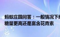 蚂蚁庄园问答：一般情况下红心火龙果比白心火龙果甜是含糖量更高还是富含花青素