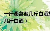 一斤桑葚泡几斤白酒放多少冰糖（一斤桑葚泡几斤白酒）