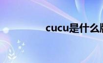 cucu是什么牌子（cucu）