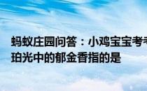 蚂蚁庄园问答：小鸡宝宝考考你兰陵美酒郁金香玉碗盛来琥珀光中的郁金香指的是