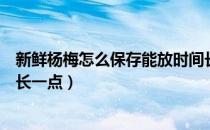 新鲜杨梅怎么保存能放时间长一点（杨梅怎么保存能放时间长一点）