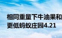 相同重量下牛油果和猪瘦肉 哪种食物的热量更低蚂蚁庄园4.21