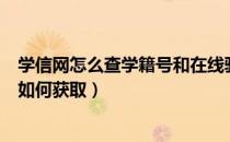 学信网怎么查学籍号和在线验证码（学信网学籍在线验证码如何获取）