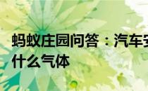 蚂蚁庄园问答：汽车安全气囊里充入的主要是什么气体