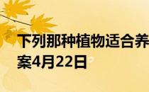 下列那种植物适合养在室内 蚂蚁庄园今日答案4月22日