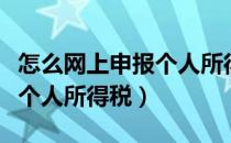 怎么网上申报个人所得税（企业如何网上申报个人所得税）