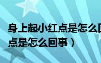 身上起小红点是怎么回事有点痒（身上起小红点是怎么回事）