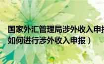 国家外汇管理局涉外收入申报（外汇管理局网上服务平台上如何进行涉外收入申报）